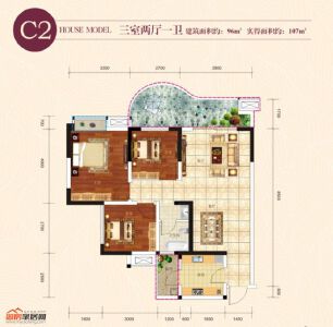 C2