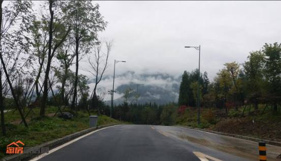 18114006bbedaded446807.png ??10.png