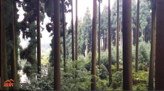 18114033665bf5719c5250.png ??11.png