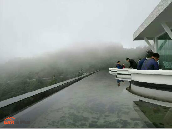 18114356696022d9de7109.png ??15.png