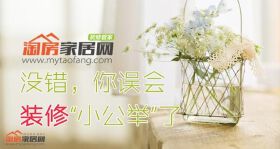 没错，你误会装修“小公举”了！
