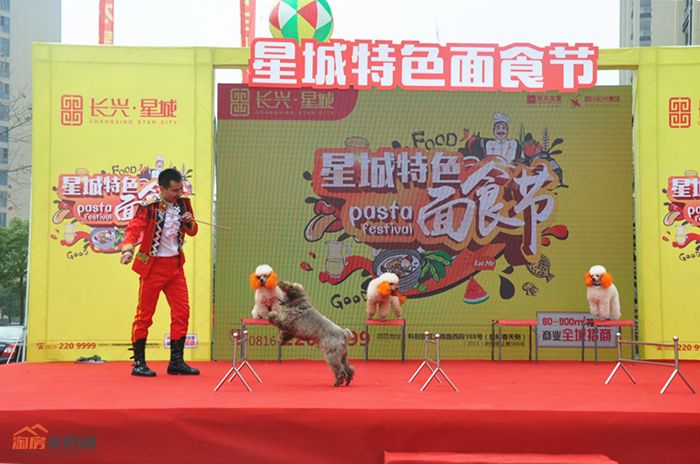 DSC_0747_副本.jpg