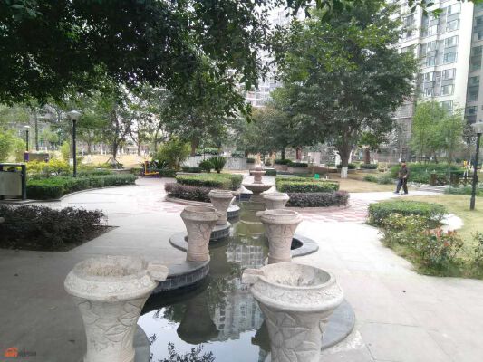 实景图