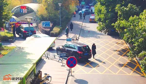 黄色网格线.jpg