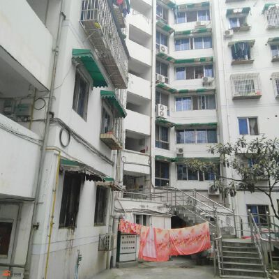 21世纪花园
