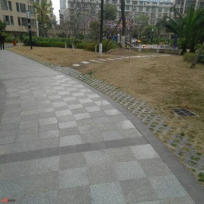九洲