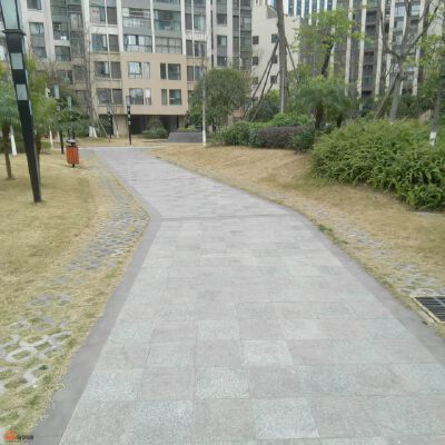九洲