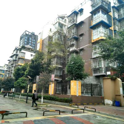 实景图