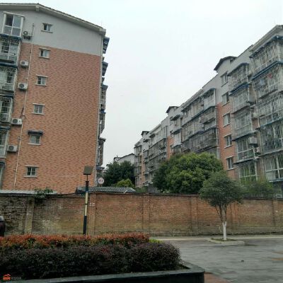 实景图