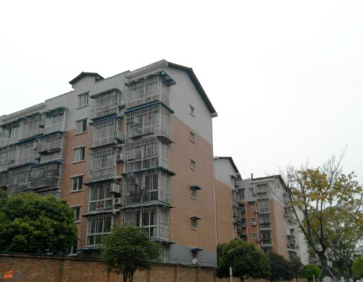 实景图