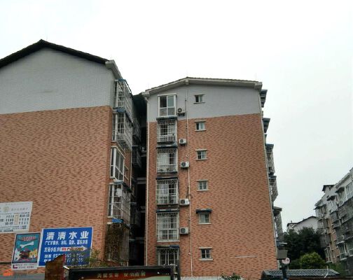 实景图