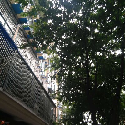 实景图
