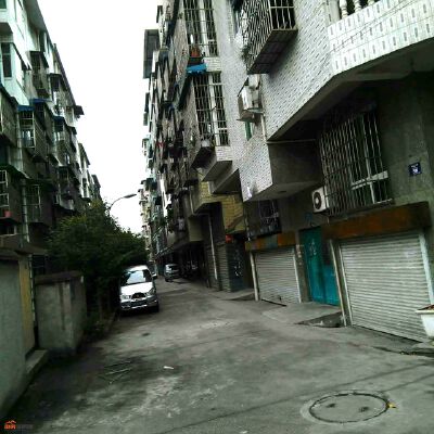 实景图