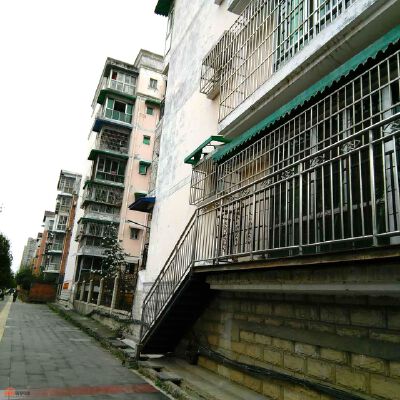 实景图