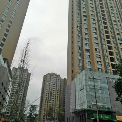 实景