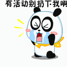 5.gif