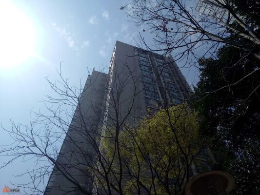 实景