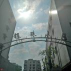 实景