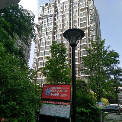 实景图