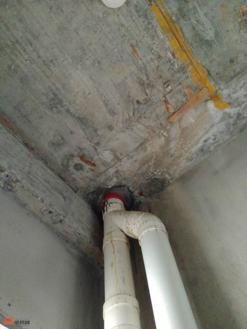 27171943eab52684df8236.jpg