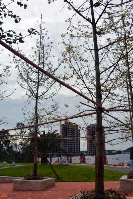 万合龍城二期实景图