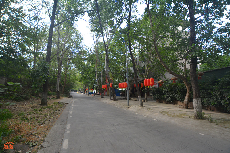 图片8.png