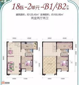 B1/B2户型125.45㎡2室2厅2卫