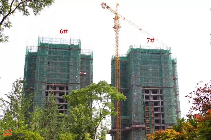 ?7.jpg