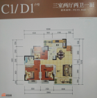 国美香水湾C1/D1户型3室2厅2卫