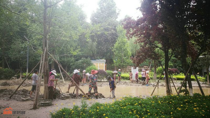 1615085662bf3c3fe38733.jpg 1691745920_.jpg