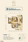 兴发孔雀城B1户型