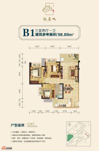兴发孔雀城B1户型
