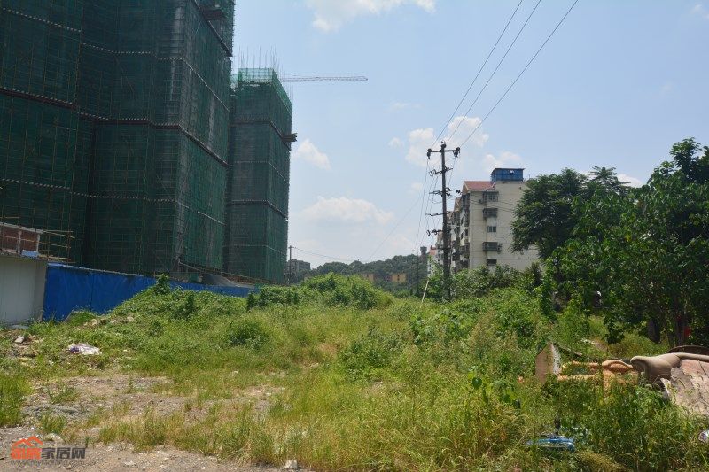 DSC_0224_副本.jpg