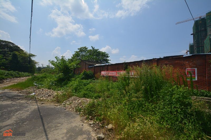 DSC_0250.JPG