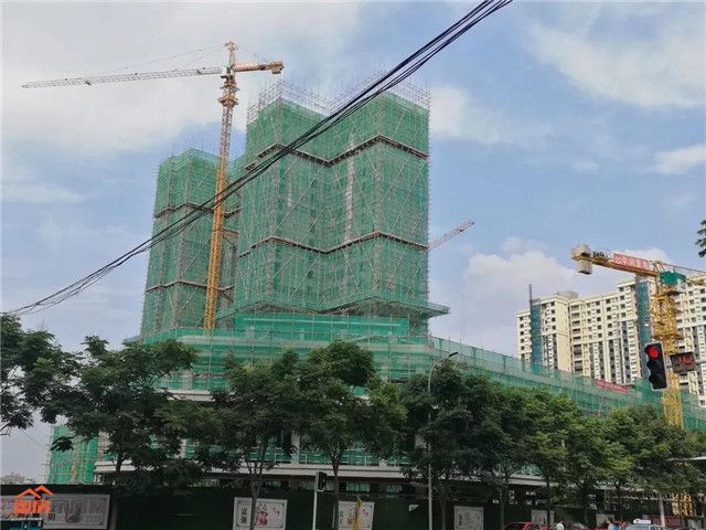 ?9.jpg