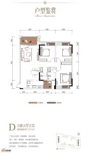香檳華府D戶型3室2廳2衛(wèi)