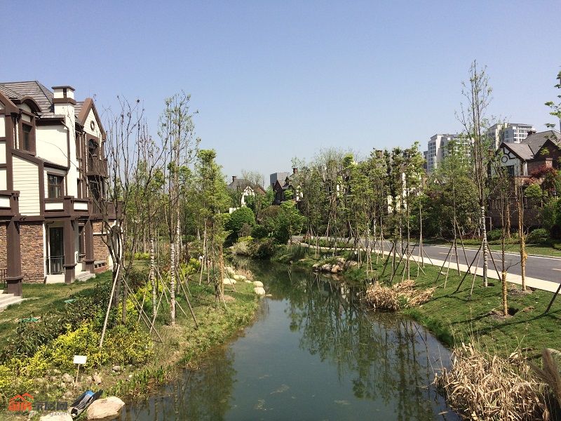 绵州水郡源岛实景图