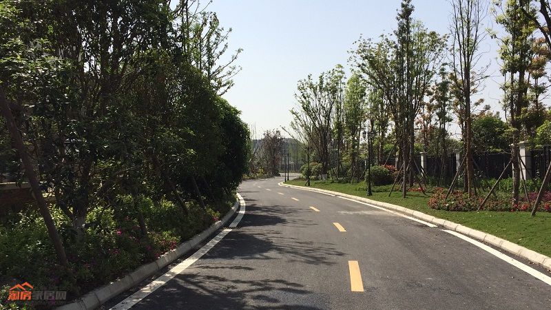 绵州水郡源岛实景图