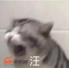 ???_20181016115930.jpg