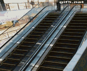 ???_20181214094833.gif