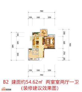 中央华府B2户型54.62㎡