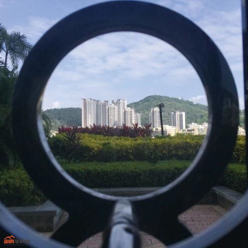 ??2_.jpg