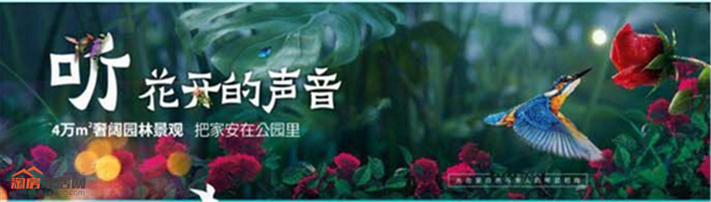 ???_20190218111247_.png