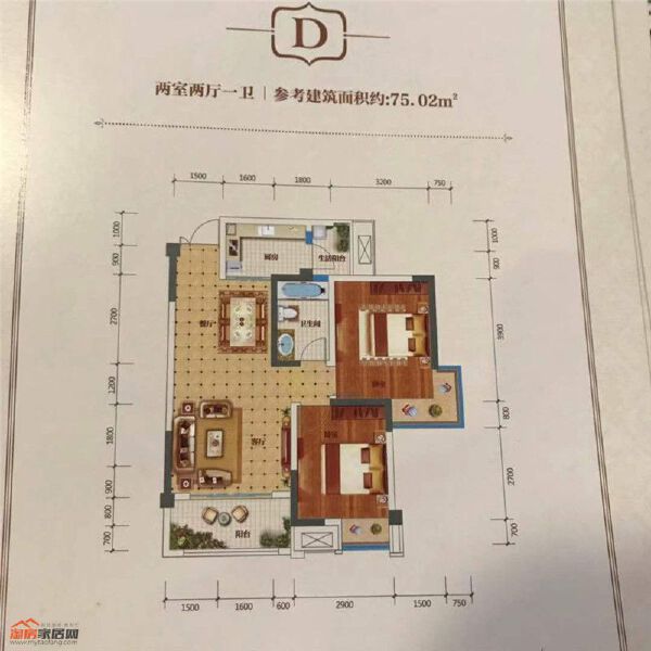 D户型图