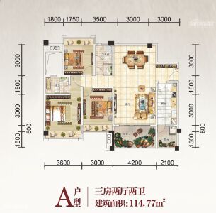 阅翠府A户型114.77㎡