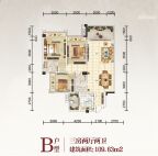 阅翠府B户型109.63㎡