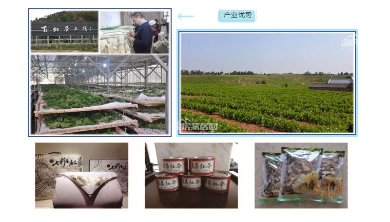 05165751c250d069350487.jpg 115.jpg