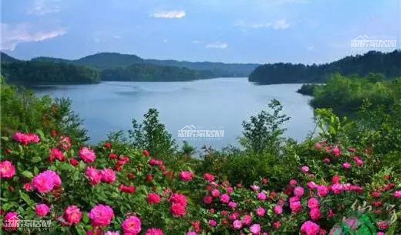 051700272630d6d4e40362.jpg 121.jpg