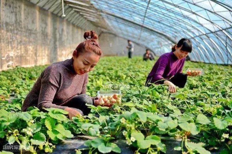 05170240cde74871ed6542.jpg 126.jpg