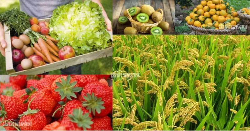 0517032348d99ab0836420.jpg 127.jpg